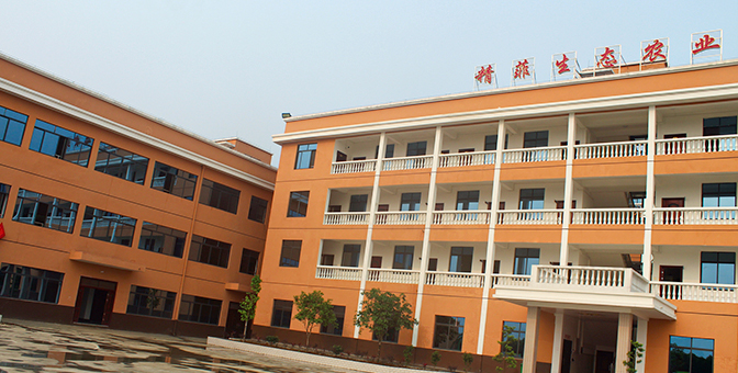 广西优发国际农业科技集团有限责任公司
