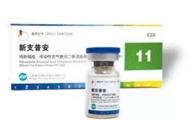 c3df85df632c312b_43_0 优发国际·随优而动一触即发