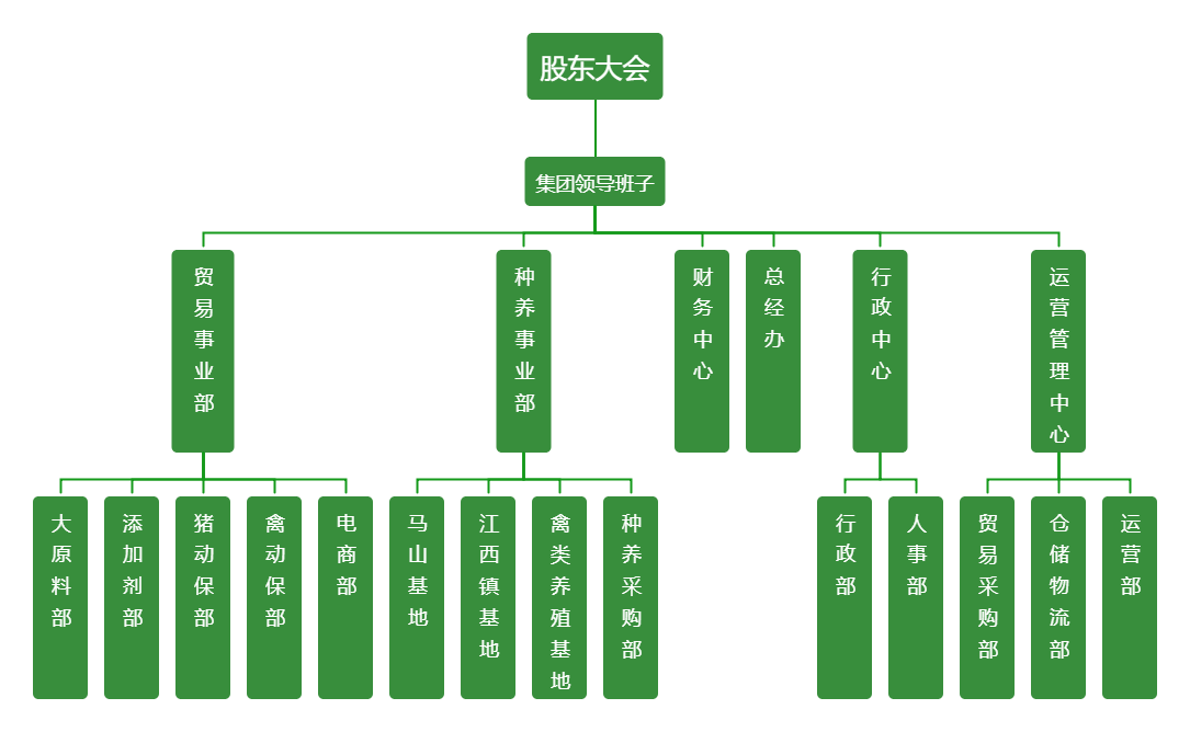 优发国际集团架构图