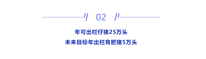 2 2