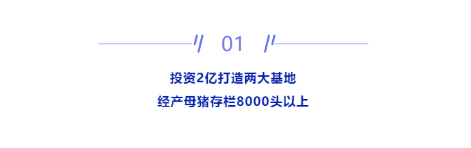 1 1