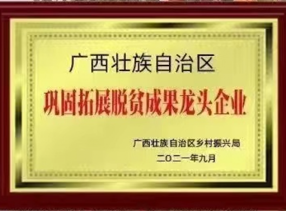 脱贫成就龙头企业