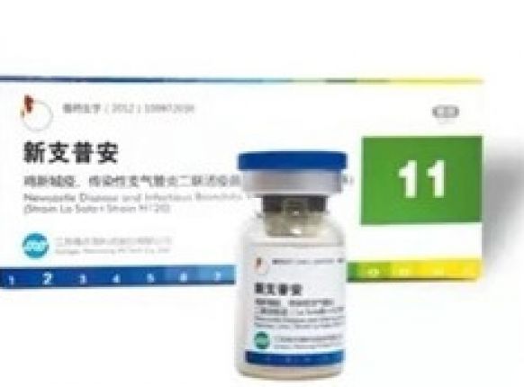  防“新”控“支”需普安 注沉成效；と